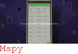 Mspy Installazione